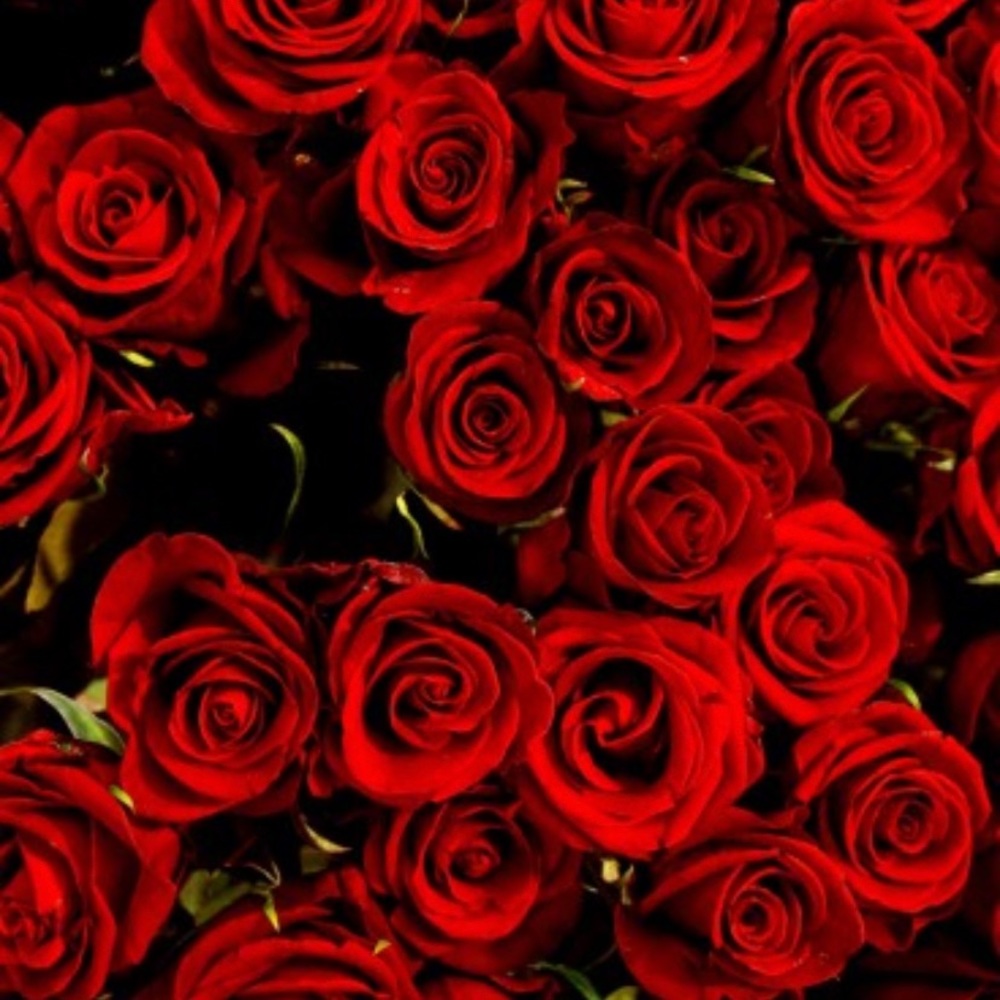 Meet your Posher, Chauna